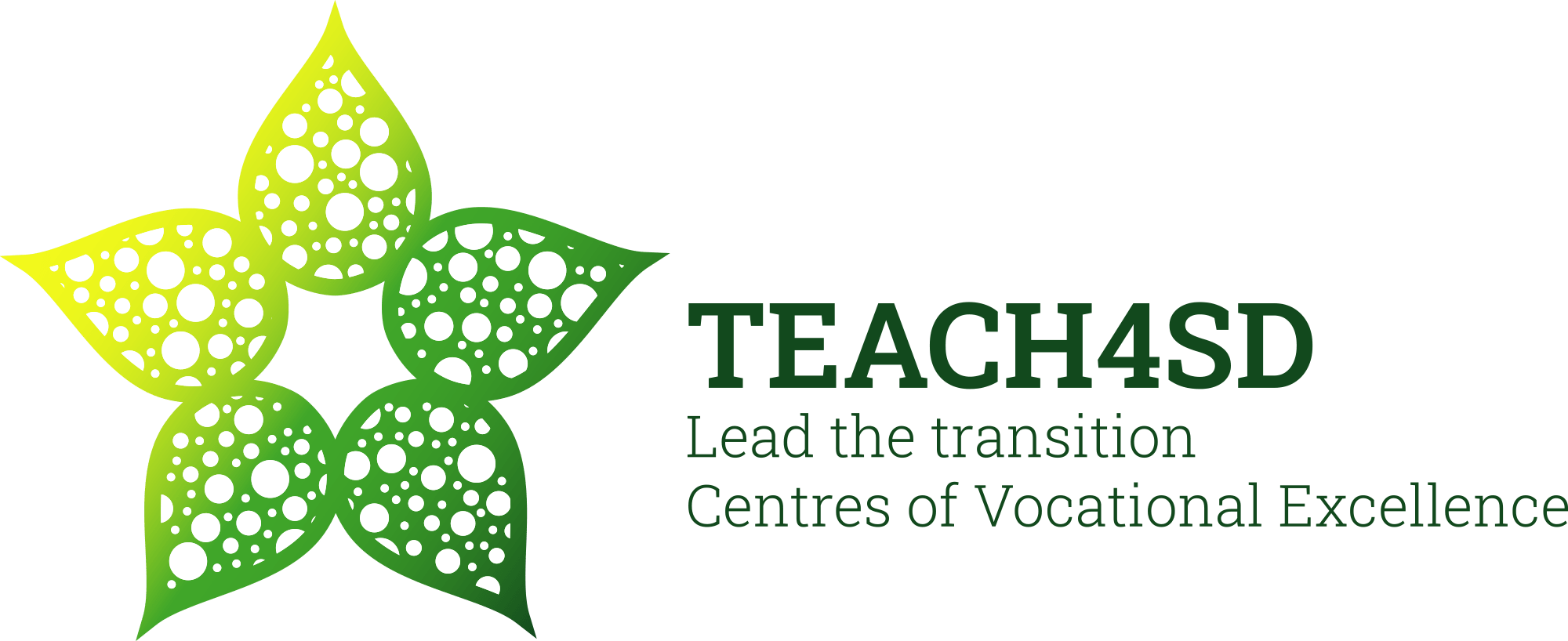 Teach4SD - Lead the transition - Centres of Vocational Excellence